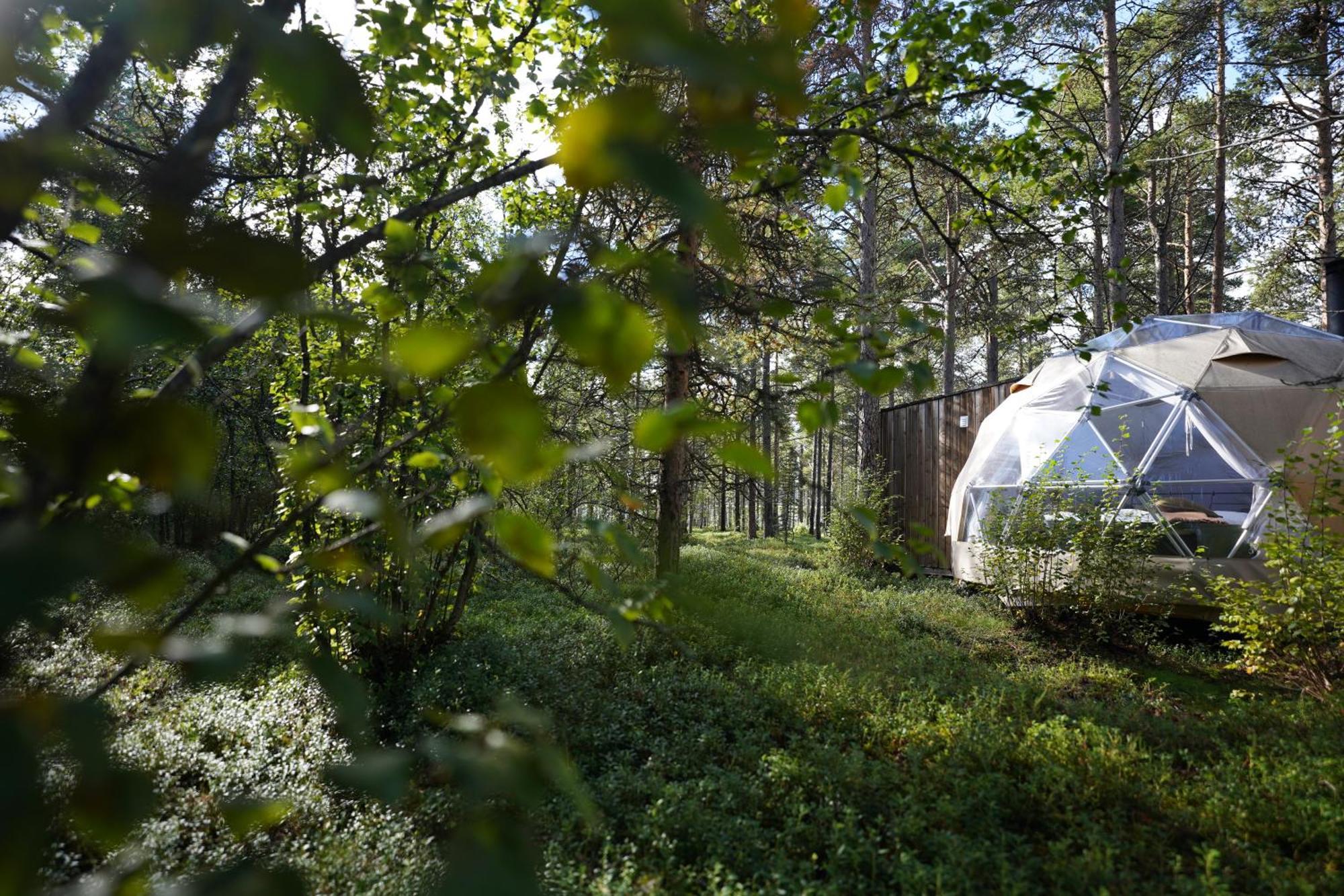 Glod Aurora Canvas Dome Alta Zewnętrze zdjęcie