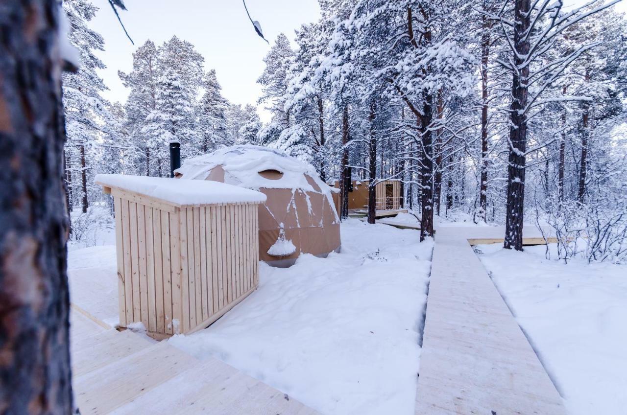 Glod Aurora Canvas Dome Alta Zewnętrze zdjęcie