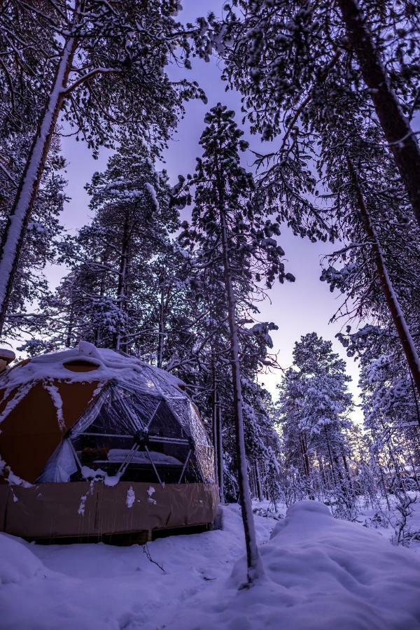 Glod Aurora Canvas Dome Alta Zewnętrze zdjęcie